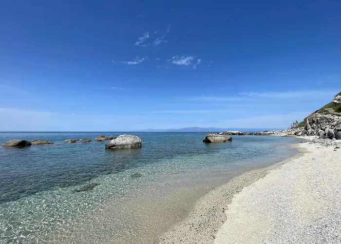 La Brace ブリアーティコ