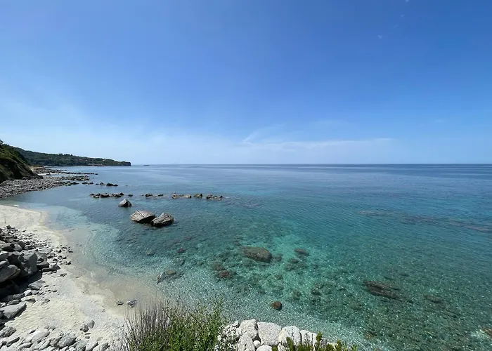 La Brace * בריאטיקו